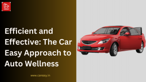 Efficient and Effective: The Car Easy Approach to Auto Wellness